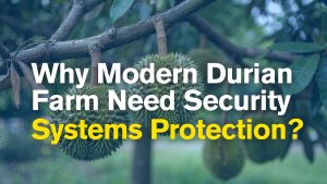 Durian Farm security systems